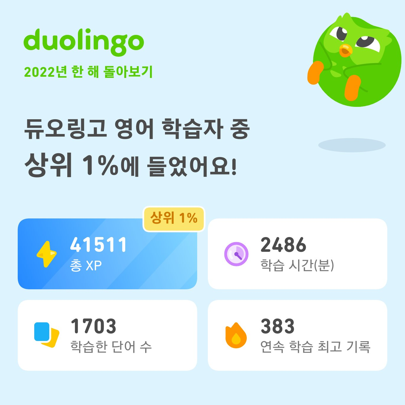 duolingo 2022년 한 해 돌아보기