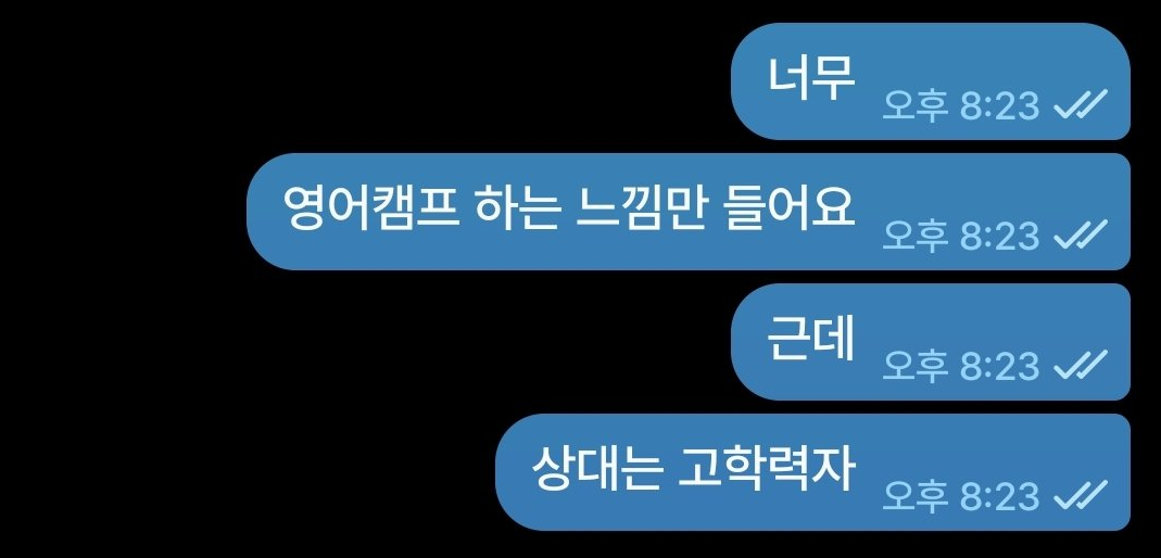 영어 캠프, 상대는 고학력자